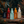 Five Essential Fragrances Bundle