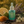 Dynamic Duo Fragrance set